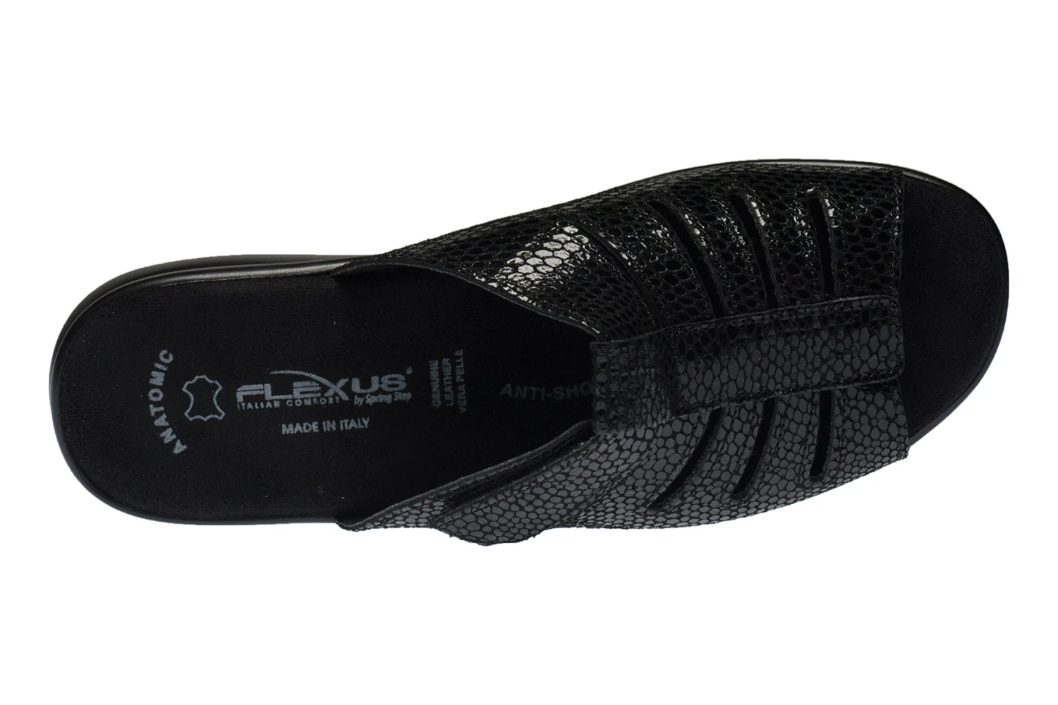 Vamp 4 Vamp - Image 2