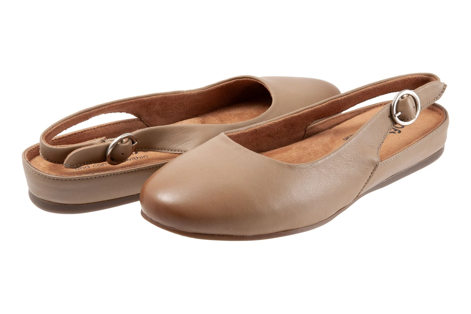 Sandy 8 Sandy - Image 6